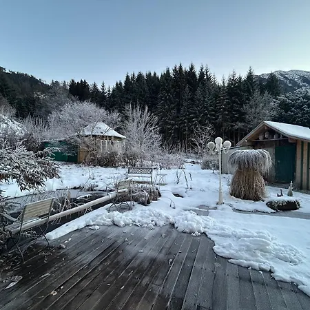 Ruhiges Am Waldrand Im Skigebiet Plankenau