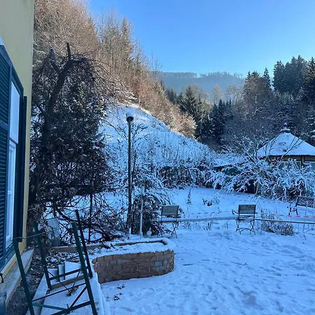 Ruhiges Am Waldrand Im Skigebiet 아파트 *