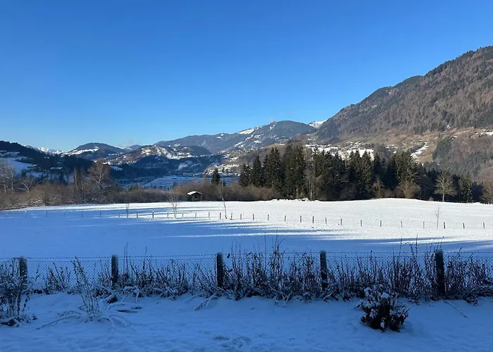 Apartment Ruhiges Apartment am Waldrand im Skigebiet