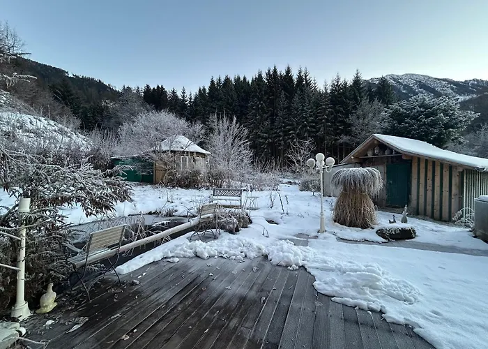 Ruhiges Am Waldrand Im Skigebiet Plankenau