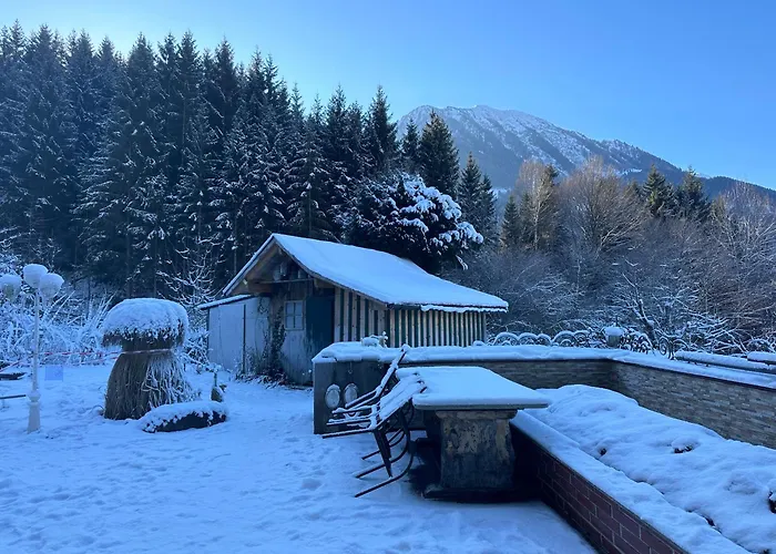 Apartment Ruhiges Apartment am Waldrand im Skigebiet